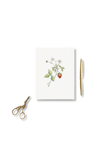 Botanical Fine Art card with white envelope by Emily Carlaw